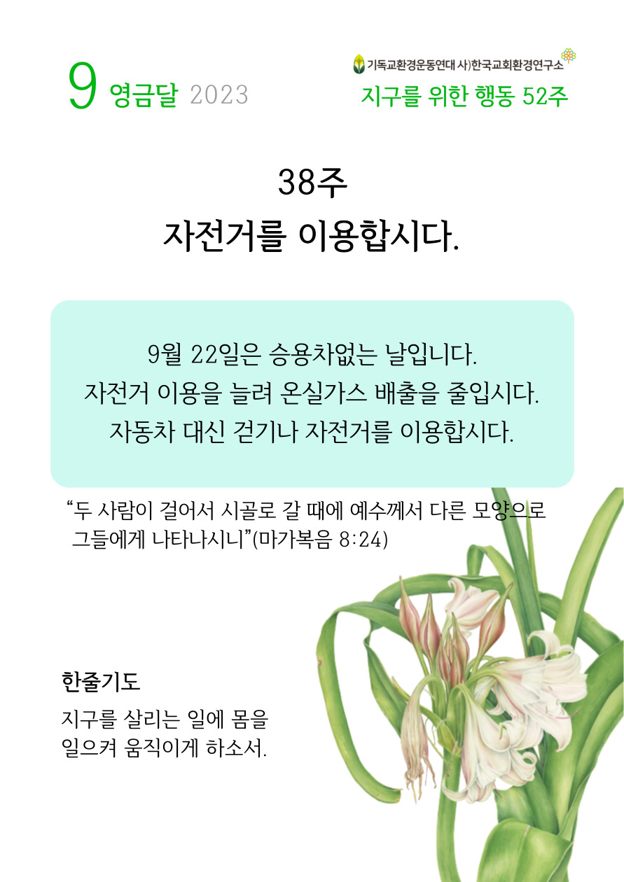 KakaoTalk_20230914_135146826.jpg